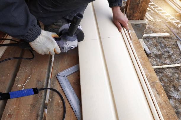 Best Custom Siding Design  in Worthgton, IN